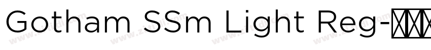 Gotham SSm Light Reg字体转换
